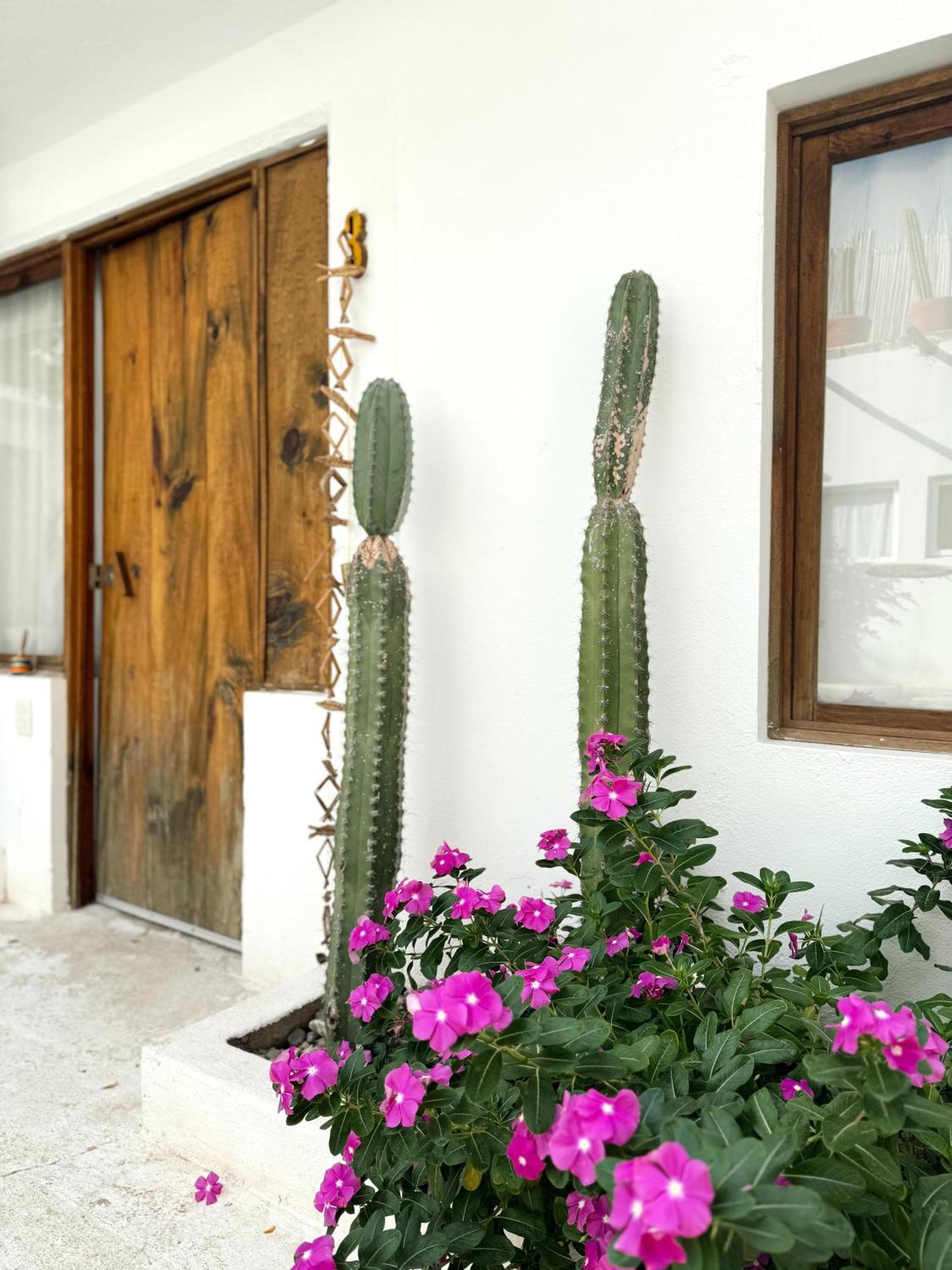 Casa Leone La Punta Hotel Brisas de Zicatela ภายนอก รูปภาพ
