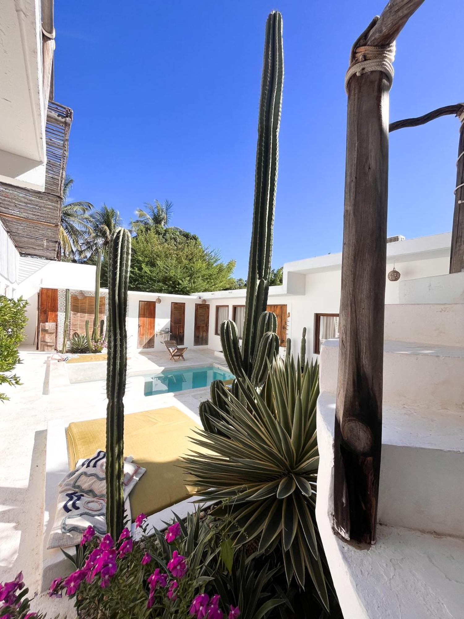 Casa Leone La Punta Hotel Brisas de Zicatela ภายนอก รูปภาพ